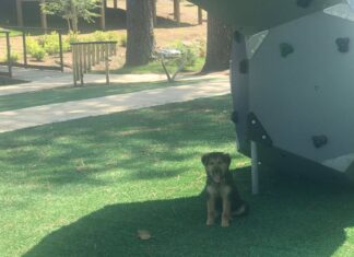 Explore: Art and functionality at Cullman’s Art Park