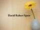 Obituary: David Robert Speer