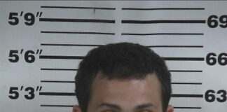 NJ man arrested for assaulting, trying to disarm Cullman deputy