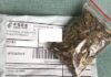Unsolicited seed packages from China delivered to Alabama residents