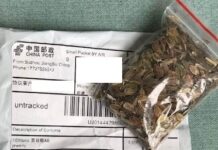 Unsolicited seed packages from China delivered to Alabama residents