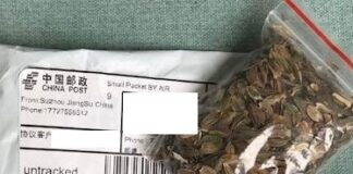 Unsolicited seed packages from China delivered to Alabama residents