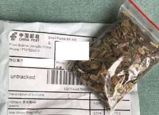 Unsolicited seed packages from China delivered to Alabama residents
