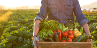 Wallace State’s Small Farmer Training program offering online agriculture/horticulture classes this fall