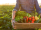 Wallace State’s Small Farmer Training program offering online agriculture/horticulture classes this fall