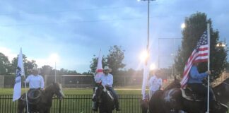 ‘Horsing around’ in Good Hope