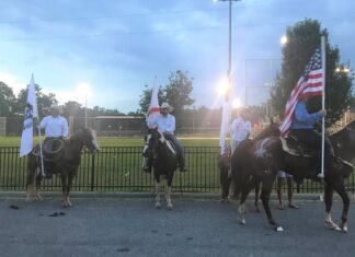 ‘Horsing around’ in Good Hope