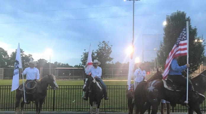 ‘Horsing around’ in Good Hope