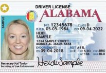 ALEA: Use caution with 3rd party websites when renewing driver’s licenses