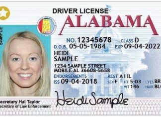 Ivey announces statewide online driver’s license renewal extension