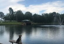 Explore: Hanceville’s Veterans Memorial Park