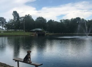 Explore: Hanceville’s Veterans Memorial Park