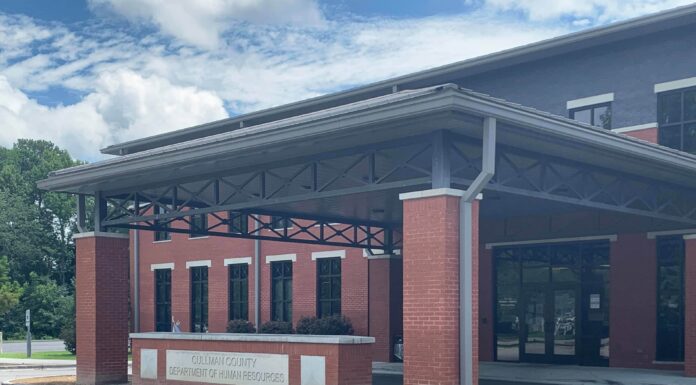 ‘It’s not going to slow us down’: Cullman County DHR continues to serve and recruit foster families during COVID-19 shutdowns, restrictions