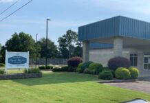 ‘There is no manual for what to do next’