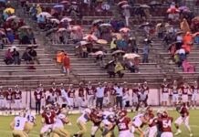 PREP FOOTBALL: Big plays plague Bulldogs in 28-6 loss at Haleyville