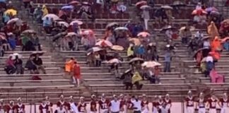 PREP FOOTBALL: Big plays plague Bulldogs in 28-6 loss at Haleyville