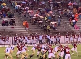 PREP FOOTBALL: Big plays plague Bulldogs in 28-6 loss at Haleyville
