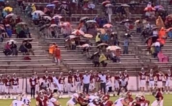 PREP FOOTBALL: Big plays plague Bulldogs in 28-6 loss at Haleyville