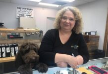 The Man in Brown: Johnny ‘Cash’ Collins delights customers at his owners’ store