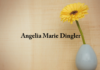 Obituary: Angelia Marie Dingler