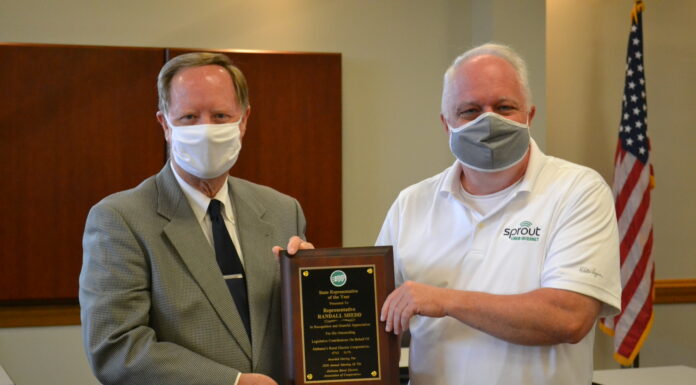 Randall Shedd named 2020 Alabama Rural Electric Association State Representative of the Year