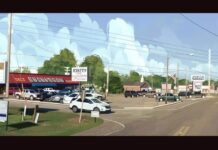 From Addison to Disney: AHS graduate Britney Thoreson navigating the world of animation