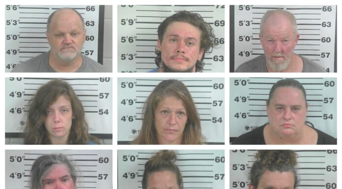 9 arrested; 30 grams marijuana, 3 grams meth seized; children in home