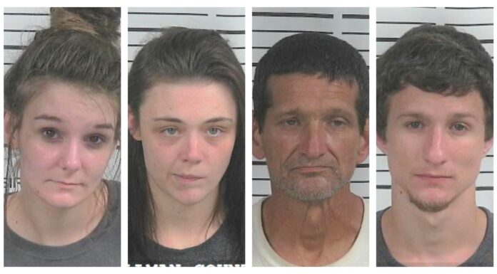 4 arrested after meth, pills, pot found, stolen gun recovered