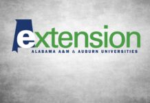 Extension Offices serving as drop-off points for mystery seed packages