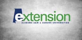 Extension Offices serving as drop-off points for mystery seed packages