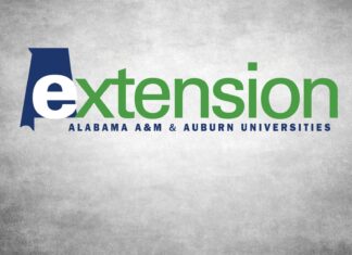 Extension Offices serving as drop-off points for mystery seed packages