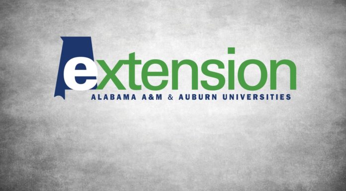 Extension Offices serving as drop-off points for mystery seed packages