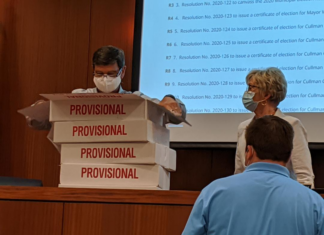 Cullman council approves $24M tax abatement for new industrial project, awards bid for Cherokee Ave. traffic light