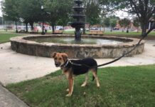 Explore: Cullman’s Depot Park