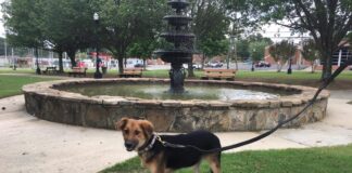 Explore: Cullman’s Depot Park