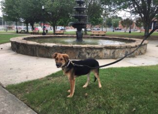 Explore: Cullman’s Depot Park