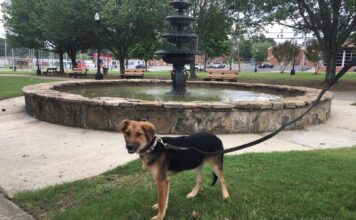 Explore: Cullman’s Depot Park