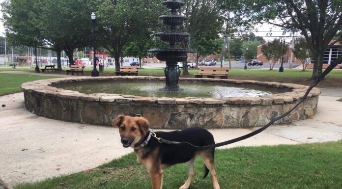 Explore: Cullman’s Depot Park