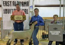 Holly Pond’s Evan Roden brings home 2 titles from East Alabama Invitational Lamb Show