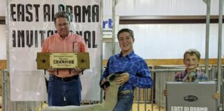Holly Pond’s Evan Roden brings home 2 titles from East Alabama Invitational Lamb Show