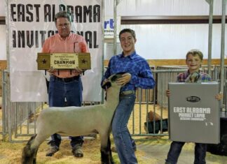 Holly Pond’s Evan Roden brings home 2 titles from East Alabama Invitational Lamb Show