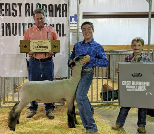 Holly Pond’s Evan Roden brings home 2 titles from East Alabama Invitational Lamb Show