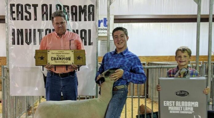 Holly Pond’s Evan Roden brings home 2 titles from East Alabama Invitational Lamb Show
