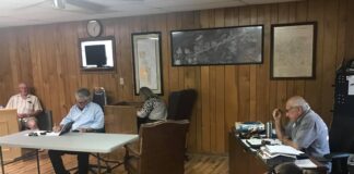 South Vinemont council passes 2020-2021 budget