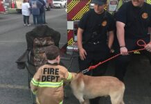 Hanceville community enjoys Kids Night Out