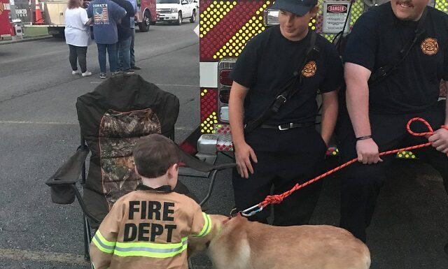 Hanceville community enjoys Kids Night Out