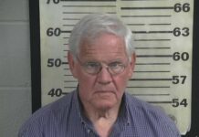 Singleton pleads guilty in $365K theft from Cullman County Fair Association