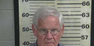 Singleton pleads guilty in $365K theft from Cullman County Fair Association