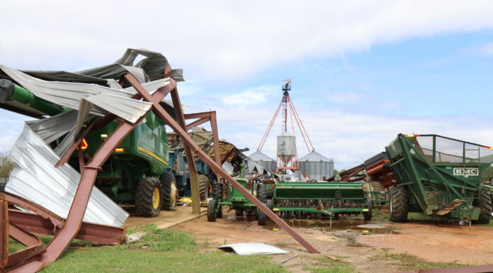 Hurricane Sally slams Alabama; farmers predict major crop losses