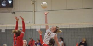 PREP VOLLEYBALL: Lady Aggies take area match over Brewer